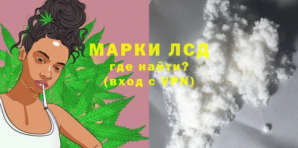 шишки Белокуриха